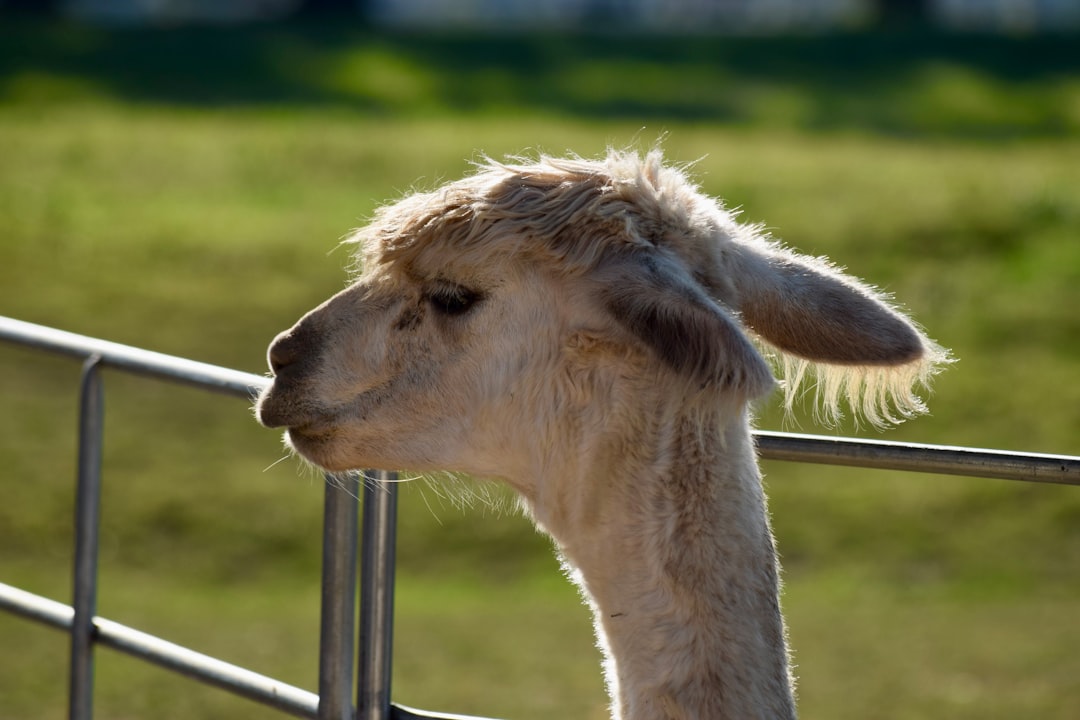 Photo robotic cleaning machines compared to manual operated cleaning machines