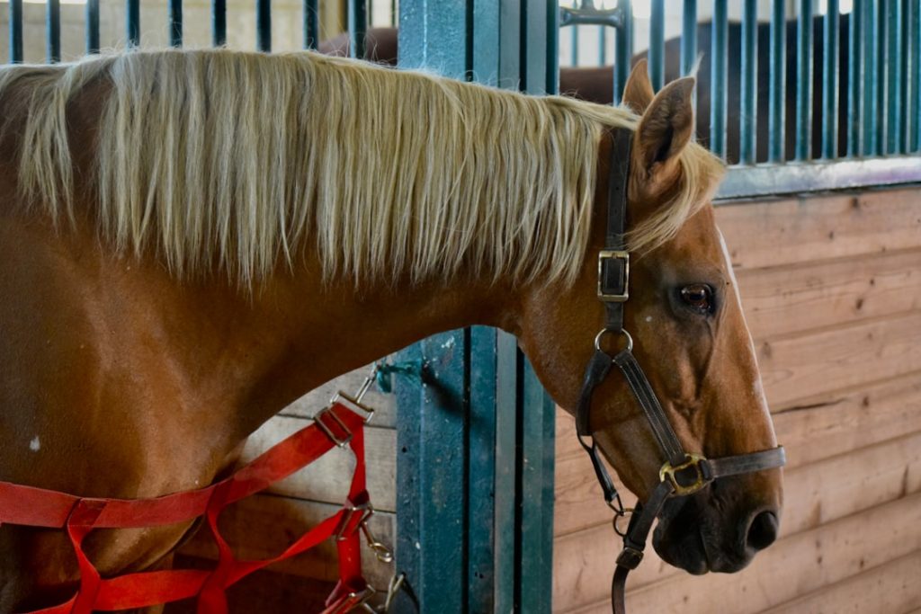 Photo commercial robotic cleaning machines compared to manual operated cleaning machines