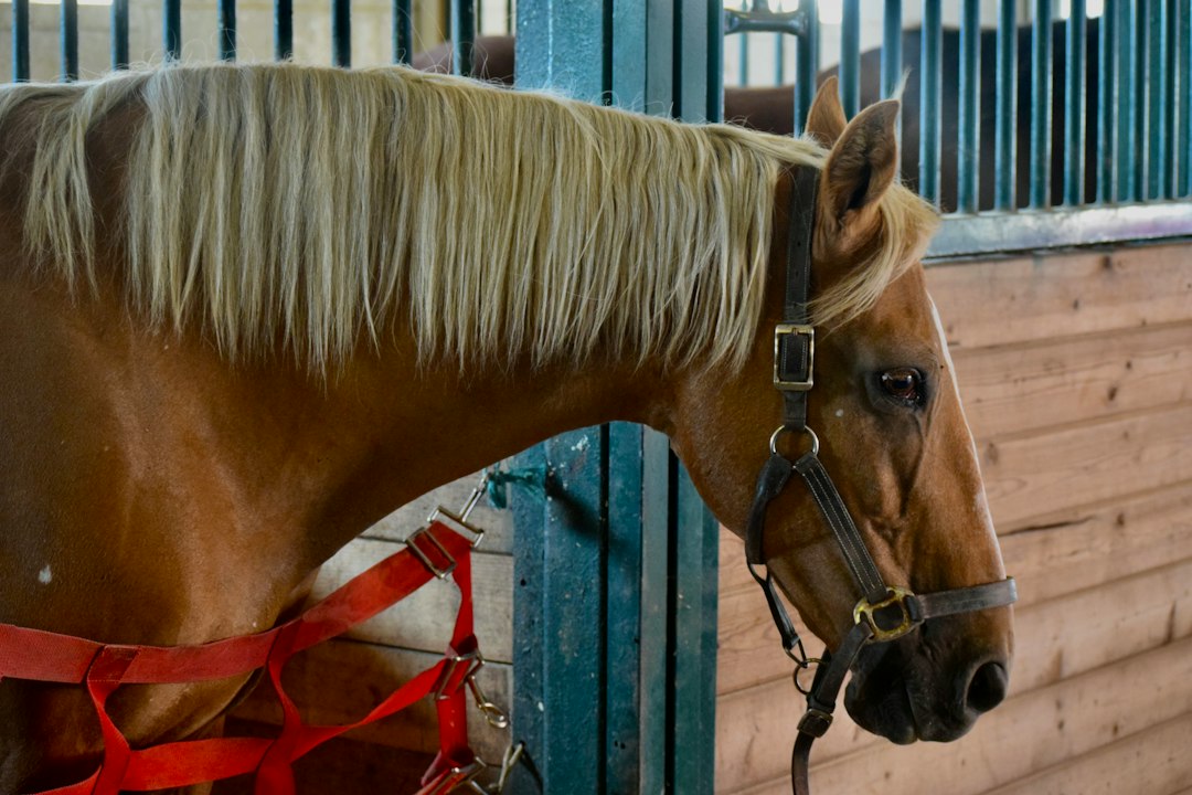 Photo scrubber manufacturer